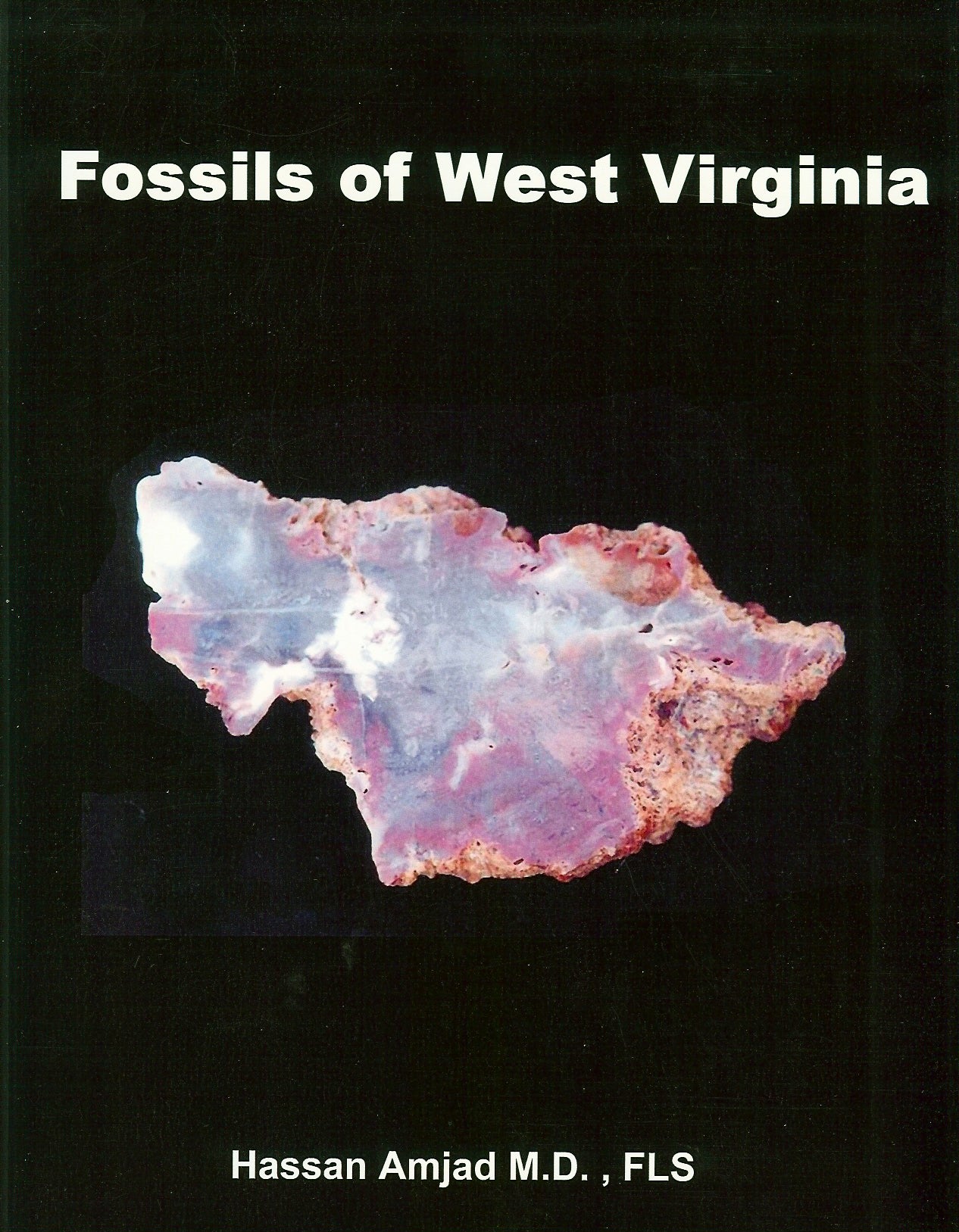 Grand Canyon'S Explosive Past: The Fossils Speak Volumes! - hw7ubn1