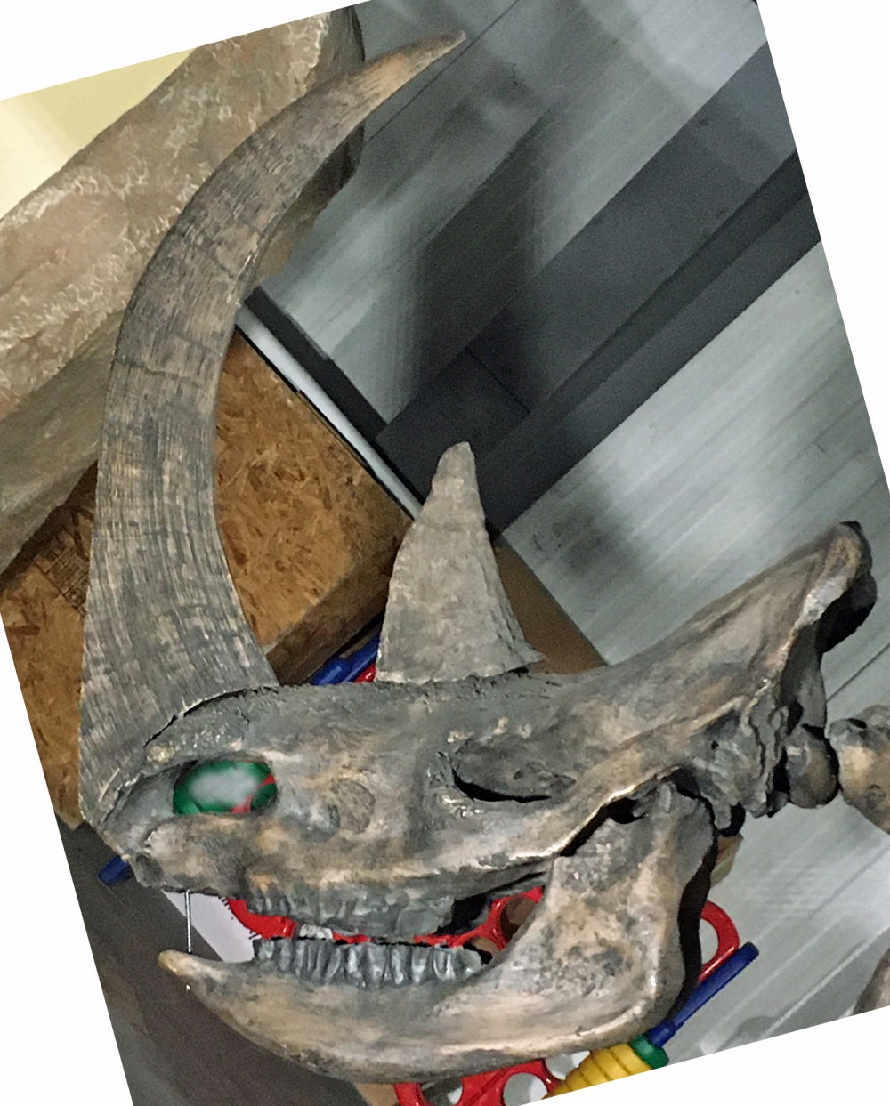 Coelodonta antiquitatis Woolly Rhino Skull Replica #872 replica